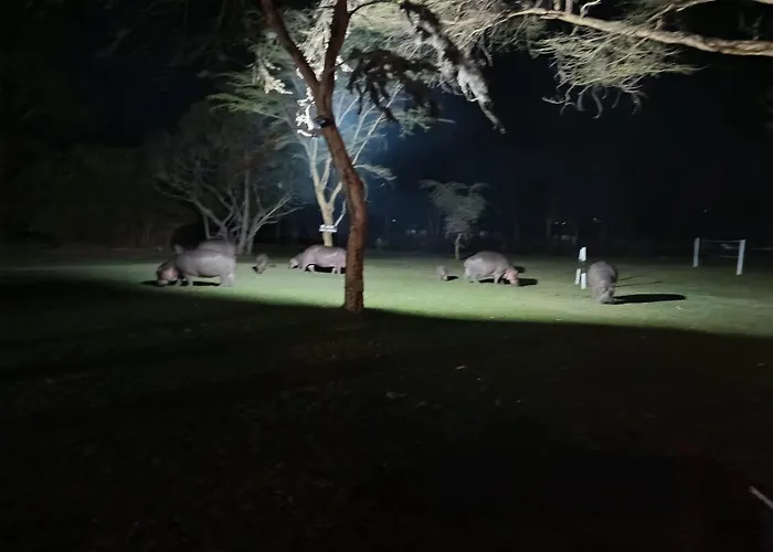 Muthu Lake Naivasha Country Club, Naivasha Karagita