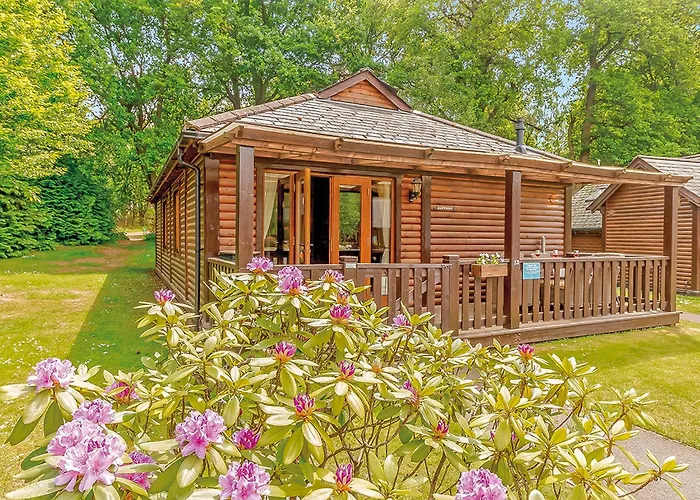Tilford Woods Lodge Retreat