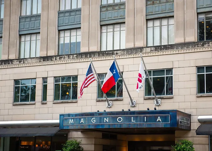 Magnolia , A Tribute Portfolio
