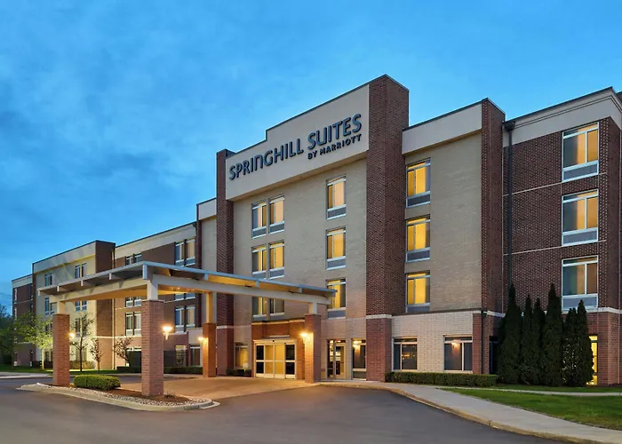 Springhill Suites By Marriott Detroit Metro Airport Romulus