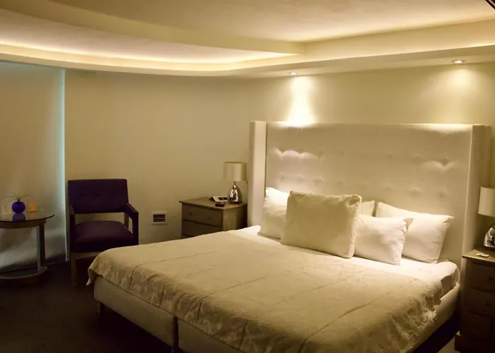 Suites Contempo