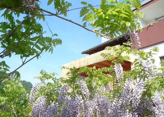 B&B Casa sul Lago - Appartamenti