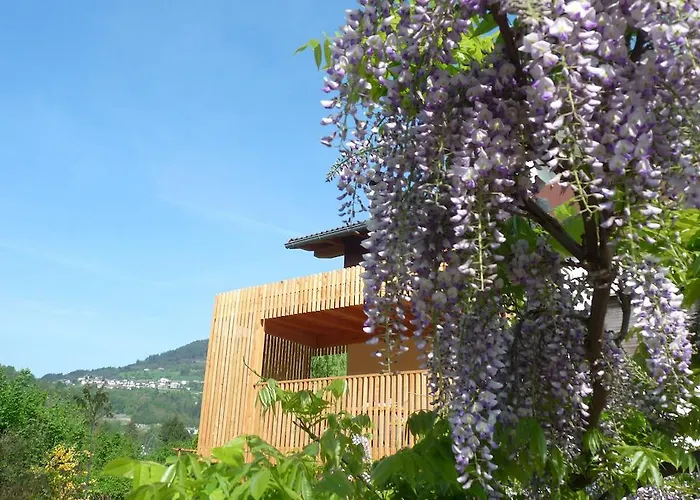 B&B Casa sul Lago - Appartamenti