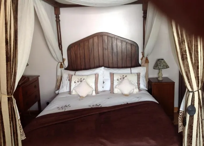 Alice Guest House