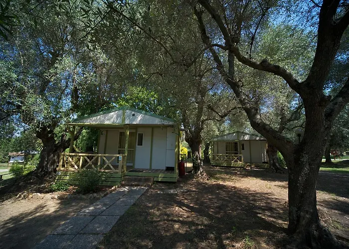 Villaggio Turistico Camping Il Fontino