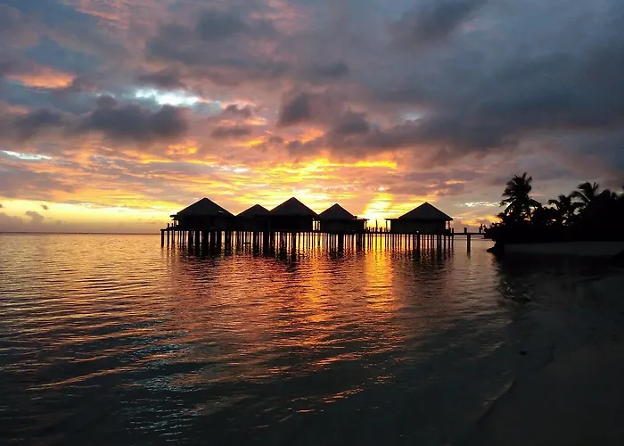 Coconuts Beach Club Resort And Spa