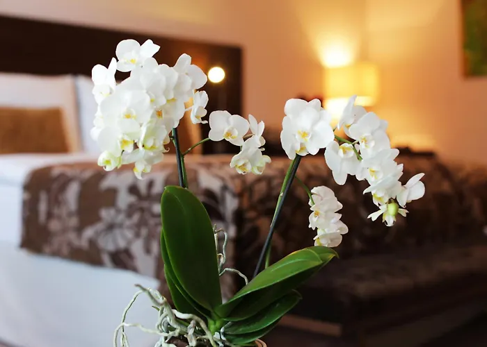 Hotel Zochova Chata - Adult friendly Modra