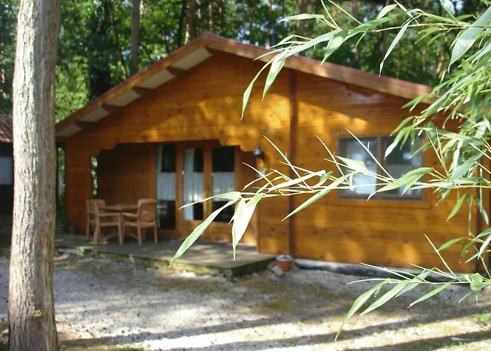 Bospark De Brenkberg