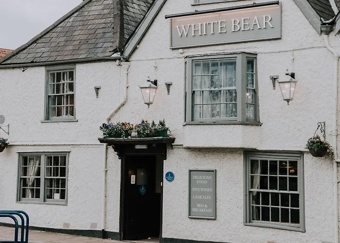 The White Bear